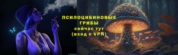 хмурый Аркадак