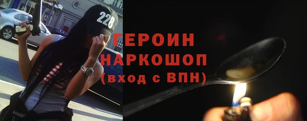 хмурый Аркадак