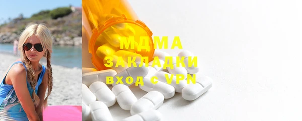хмурый Аркадак