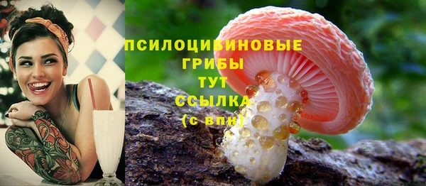 бошки Армянск