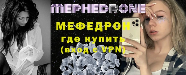 хмурый Аркадак
