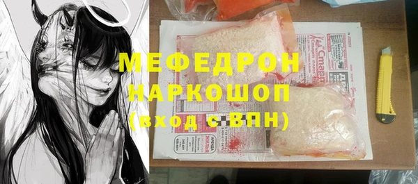 хмурый Аркадак