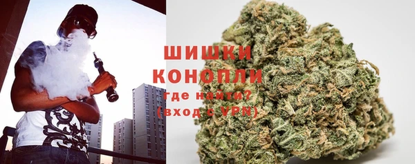 крисы Арсеньев