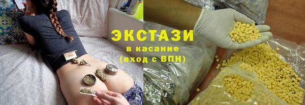 хмурый Аркадак