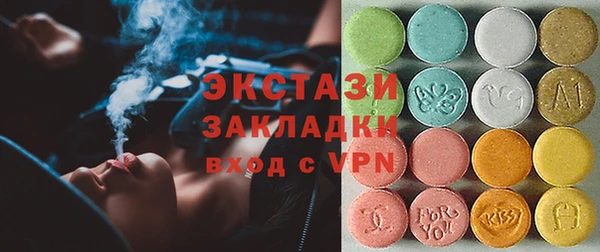 хмурый Аркадак