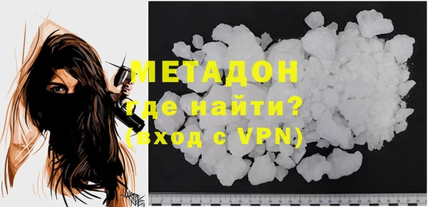 хмурый Аркадак
