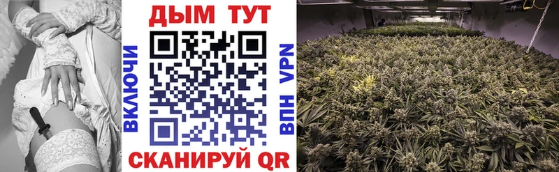 Бошки Шишки White Widow  Цивильск 